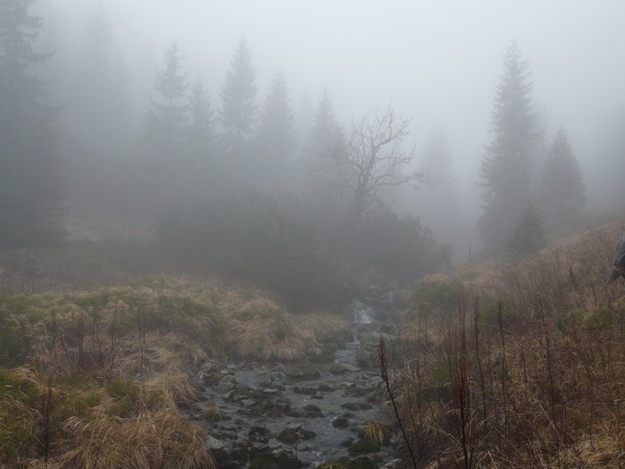 CAL 2008 listopad nizke tatry 14. 17.11. 02